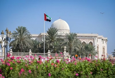 AUS Master of Arts in International Studies: Fostering global leaders and changemakers